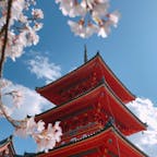 📍Kyoto,Japan

#京都
#清水寺