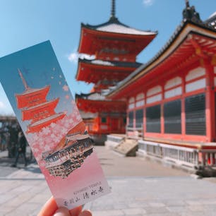 📍Kyoto,Japan

#京都
#清水寺