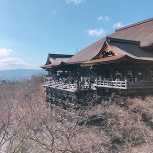 📍Kyoto,Japan

#京都
#清水寺
