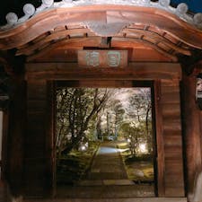 📍Kyoto,Japan

#京都
#圓徳院