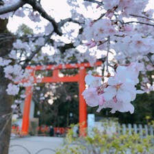 📍Kyoto,Japan

#京都
#八坂神社