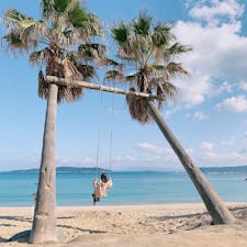 ヤシの木ブランコ🌴

#福岡 #糸島