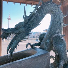 📍Kyoto,Japan

#京都
#東本願寺