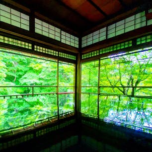 瑠璃光院

綺麗！
下半分の反射が鮮やか！