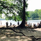 ベルリン郊外、グルーネヴァルト湖

犬が戯れ、家族で語らう。
ドイツの人たちの休日の様子。