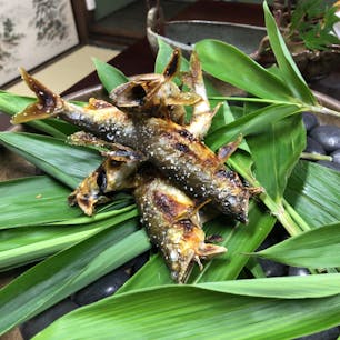 美加登家さんに初めての訪問😊
高津川の新鮮な鮎をいただきました〜🥰