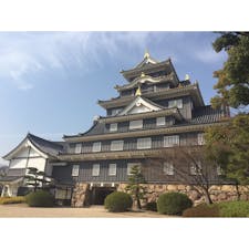 岡山城
形とか色とか好きなお城🏯
#201803 #s岡山 #s城