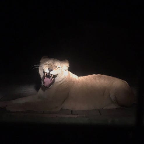 那須サファリパーク