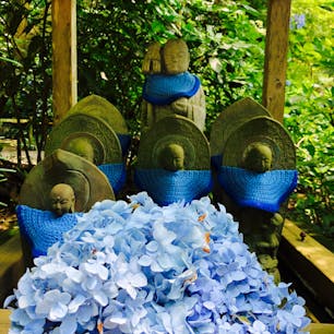 お地蔵さまも紫陽花ブルーで可愛い
2020/06/26