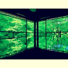 やはり綺麗だった…！