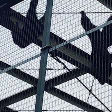 東山動物園
上手く写真は取れなかったけど
あぁーーあぁーー言ってました　笑