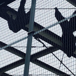 東山動物園
上手く写真は取れなかったけど
あぁーーあぁーー言ってました　笑