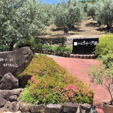 香川県小豆島
オリーブ園
