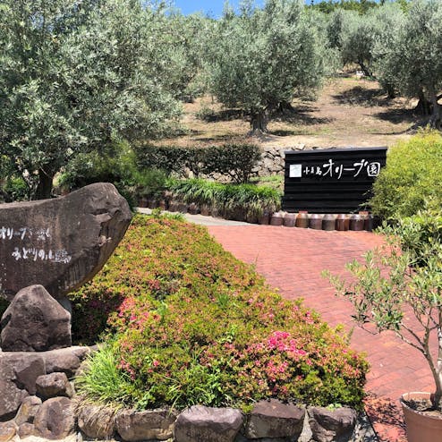 小豆島オリーブ園