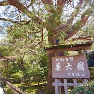 📍Ishikawa,Japan

#石川
#金沢
#兼六園