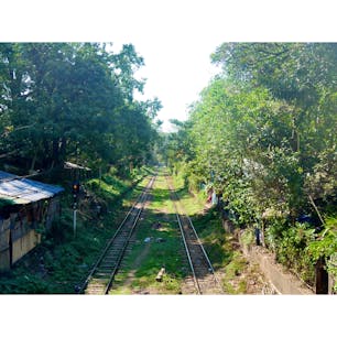 【ミャンマー🇲🇲】ヤンゴン

お散歩途中に見つけた道。
「あ、ウクライナの愛のトンネルっぽい」
と思って撮ったもの。
友人には全然見えないと言われてしまいましたが
どうでしょう、、。

#ミャンマー°
#ヤンゴン
#2019/02/07