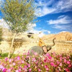 インド、ラダック。
チベット仏教大学のお庭にて。