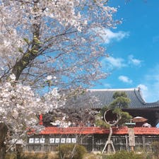 📍Tokyo,Japan

#東京
#上野
#上野恩賜公園