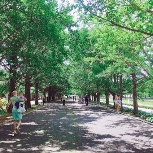 国営昭和記念公園