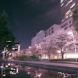 📍Tokyo,Japan

#東京
#東京ミッドタウン
#桜