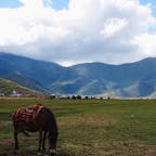 雲南省 香格里拉の草原
2016.09