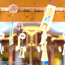 美瑛神社の「丘の夏詣」が今年も始まりました✨️8/16まで、境内に設置された風鈴棚から涼やかな音色が響き渡ります🎐 #北海道 #美瑛町 #美瑛神社