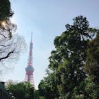 📍Tokyo,Japan

#東京
#東京タワー