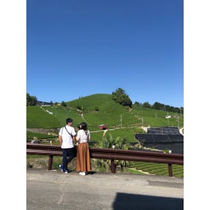 京都府にあるお茶の名産地、和束町。
去年のgwに訪れたときは渋滞もなくスムーズにいくことのできる穴場でした。
この町にある、カフェもとてもおしゃれでした。

#和束町茶畑