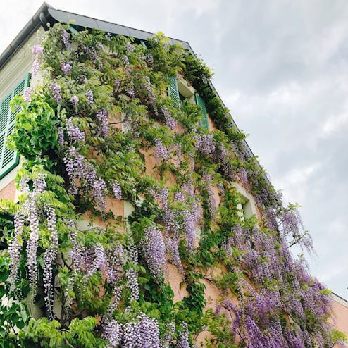 浜名湖ガーデンパーク