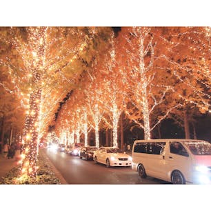 京都西院にあるロームイルミネーション。
数年前まで穴場でゆっくり見れましたが、ここ最近は有名になり道が混雑するようになったようです。
#ロームイルミネーション