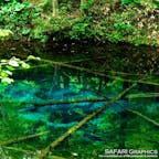 神秘の青さをたたえる北海道清里町にある神の子池。アイヌ語で神の湖と呼ばれる摩周湖の伏流水が1日12,000tも湧き出しています。水深5メートルの水底まで見通せる透明度の高い池には、オショロコマが泳ぐ姿も。森の静寂のなかで聞こえる鳥の声にも癒されます！#北海道 #清里町 #神の子池