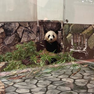 アドベンチャーワールド