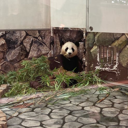 アドベンチャーワールド