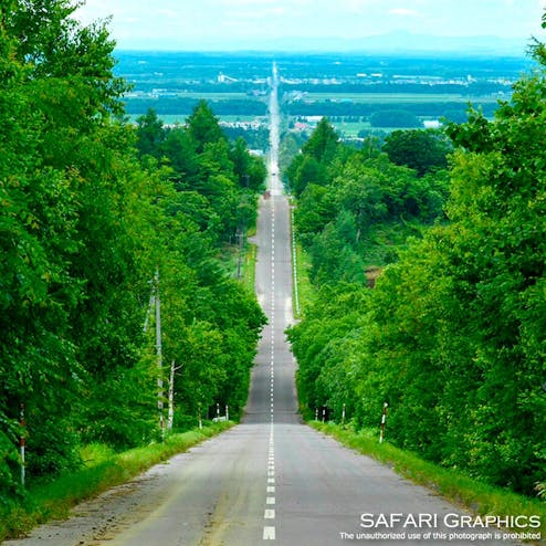 天に続く道の投稿写真 感想 みどころ 北海道斜里町にある天に続く道 28kmも続く真っ直ぐな道路で トリップノート 天に続く道の投稿写真 感想 みどころ 北海道斜里町にある天に続く道 28kmも続く真っ直ぐな道路で トリップノート
