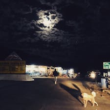 インド、レー→マナリの間、夜行バスの休憩所のひとコマ。月が眩しい。