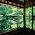京都瑠璃光院へ
今年の拝観は7月31日まで
青紅葉が美しい