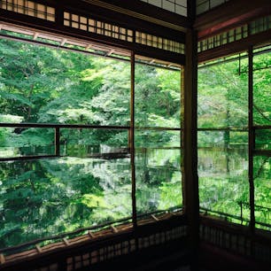 京都瑠璃光院へ
今年の拝観は7月31日まで
青紅葉が美しい