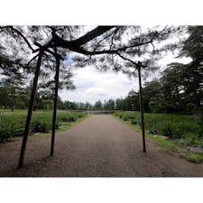 岩手県　毛越寺