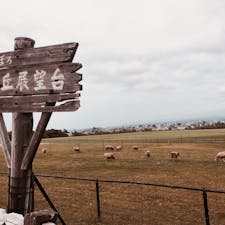 北海道 

めぇ〜🐑
