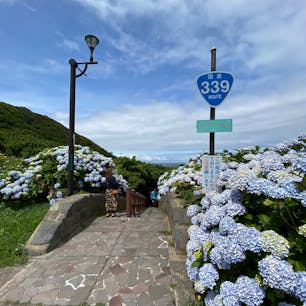 国道なのに車は通れなくて、歩いて通る階段国道。階段は全部で362段あって、降りた先には竜飛漁港が広がってます🐟
#階段国道