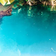 さっぱ船は1人1500円です。波はほとんどありませんが、かっぱえびせんをもらいにたくさんのカモメが寄ってきます。