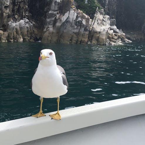 青の洞窟(岩手)