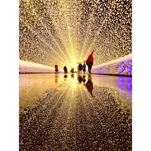 雨を活用してリフレクション。


#なばなの里