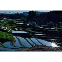 大阪/下赤坂の棚田