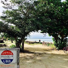 竹富島のコンドイビーチ。ここは猫がいっぱい。