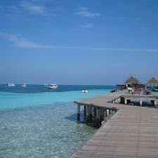 モルディブの青い海と空。
桟橋に行ったらイカご泳いでた。