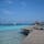 モルディブの青い海と空。
桟橋に行ったらイカご泳いでた。