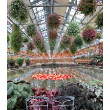 三重県なばなの里
ベゴニア館