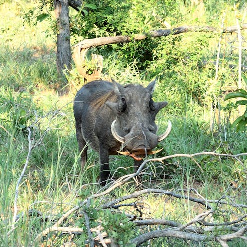 フラネロイヤルナショナルパーク