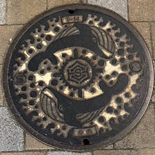 スイスイくじら　高知